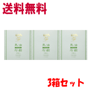 3個セット 送料無料 薬師堂 ソンバーユ 馬油石鹸 （85g×6個入り×1箱）ヒノキの香り ×3箱セット 尊馬油 ソンバーユ 石鹸 ボディケア ソープのサムネイル