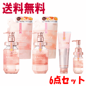 【送料無料】【6点セット】ヴィークレア ＆ハニー メルティ モイストリペア 6点セット シャンプー(本体&つめかえ)／トリートメント(本体&つめかえ)／パック／オイルのサムネイル