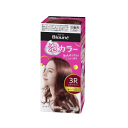 花王 ブローネ泡カラー 3R:ロゼブラウン 1液40g/2液60ml/パック8g