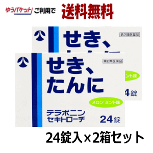 ゆうパケットで送料無料 2個セット【第2類医薬品】日新薬品工業 セキトロ−チ テラポニン 24錠入×2個 【咳止め のどの炎症 声がれ】