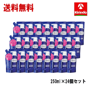 送料無料 24個セット ロート製薬 デオコ 薬用ボディクレンズ つめかえ用 250mL×24個セット 【医薬部外品】 ボディソープ 石鹸 清潔 衛生 洗浄 消臭 体臭 汗・制汗・ニオイ
