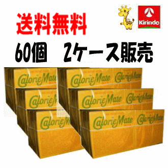 送料無料 60個セット(2ケース) 大塚製薬 カロリーメイト ブロック フルーツ味 4本入り×60個セット(2ケース) 軽減税率対象商品 同梱不可