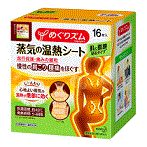 送料無料 花王 めぐりズム 蒸気の温熱シート 16枚入り×12箱セット(1ケース)