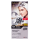 ダリア サロン ド プロ 泡のヘアカラーEX メンズスピーディ (白髪用) 6A 深みのあるアッシュブラウン 40g+40g