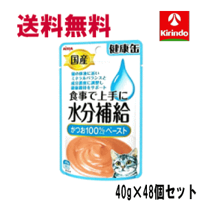 送料無料 48個セット アイシア 国産 健康缶パウチ 水分補給 かつおペースト 40g 48個 国産 キャットフード 猫 ウェット パウチ