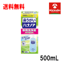 送料無料 小林製薬 ハナノア 専用洗浄液 500mL×1個 詰替え ハナノア洗浄液