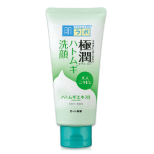 【在庫処分】ロート製薬 肌ラボ 極潤 ハトムギ洗顔フォーム 110g