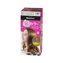 花王 ブローネ泡カラー 1:スタイリッシュブラウン 1液40g/2液60ml/パック8g