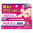 【第2類医薬品】小林製薬 アットノンEX ジェル 15g 【傷あと やけどのあと】
