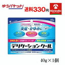 ゆうパケットで送料330円ジャパンメディック デリケーションクール 40g×1個 デリケートな部分 股間や内股、脇、首などのかゆみを鎮静 ★セルフメディケーション税制対象商品