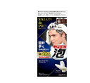 ダリヤ サロンドプロ 泡のヘアカラーEX メンズスピーディ(白髪用)6 ダークブラウン 1剤40g+2剤40g【医薬部外品】