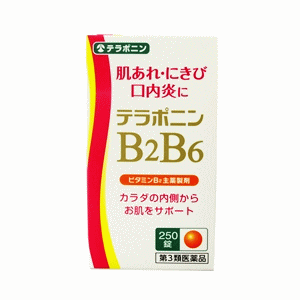 【第3類医薬品】米田薬品工業 テラポニン BB錠 250錠 【肌荒れ にきび 口内炎】