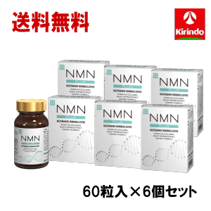 6個セット 送料無料 健美舎 NMN+(PULS) 60粒×6個 話題のエイジングケアサプリ NMN ...