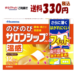 椦ѥåȤ330 3ʡ۵׸ ΤӤΤӥ󥷥åFH ϡ 12 եǥоݾ