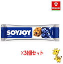 【24個セット】 大塚製薬 ソイジョイ ブルーベリー 30g×24個( 軽減税率対象商品)(4)