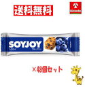 【送料無料 48個セット】 大塚製薬 ソイジョイ ブルーベリー 30g×48個 (軽減税率対象商品)