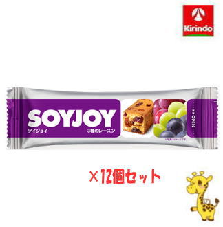 【12個セット】 大塚製薬 ソイジョイ 3種のレーズン 30g×12個 (軽減税率対象商品)