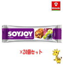 【24個セット】 大塚製薬 ソイジョイ 3種のレーズン 30g×24個 (軽減税率対象商品)(4)