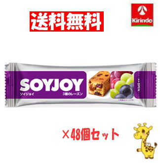 【送料無料 48個セット】 大塚製薬 ソイジョイ 3種のレーズン 30g×48個( 軽減税率対象商品)