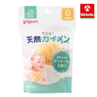 ピジョン 天然カイメン