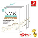 送料無料 6個セット 健美舎 楽美健快 NMN+(PULS) GOLD 60粒×6個【【軽減税率対象商品】NMN サプリメント 高含有 300mg×60カプセル 1箱に18000mg NMNプラスゴールド(4)