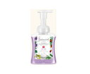レキットベンキーザー・ジャパン 泡ミューズ ボタニカル スミレ&グリーンイランイラン 本体 250ml 【医薬部外品】(4)