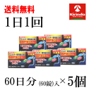 送料無料 5個セット【第2類医薬品】k-select(ケーセレクト) ポジナールEP 60錠入×5個セット 1日1回 鼻炎薬 花粉症 ハウスダウスト アレルギー...