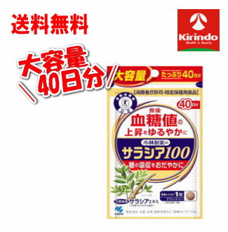 送料無料 大容量40日分 小林製薬の栄養補助食品(サプリメント) サラシア100 120粒(40日分) ×1個 特定保..