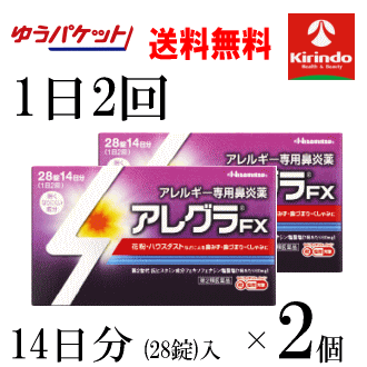 ゆうパケットで送料無料 2個セット【第2類医薬品】久光製薬 