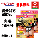 70周年創業祭III ゆうパケットで送料無料 2個セット【第2類医薬品】ロート製薬 ロート 防風通聖散錠 満量a 168錠入×2袋 満量処方 5000mg 糖 ...