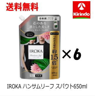 送料無料 花王 IROKA(イロカ)ハンサムリーフ　スパウト　650ml×6個