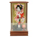 羽子板 ケース飾り 彩音 10号 刺しゅう 高さ45cm アクリルケース (2024-ys163) ケース入り お正月飾り 初節句 お祝い