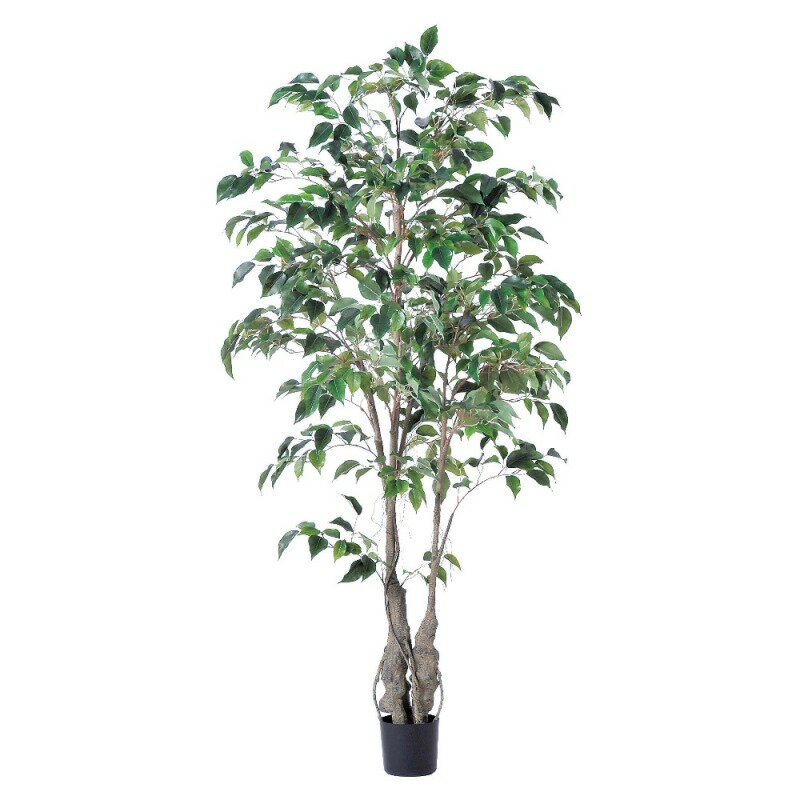 人工観葉植物 ファイカスツリー （ポット付き） グリーン 高さ152cm （P285-a50866) （代引き不可） インテリアグリーン フェイクグリーン