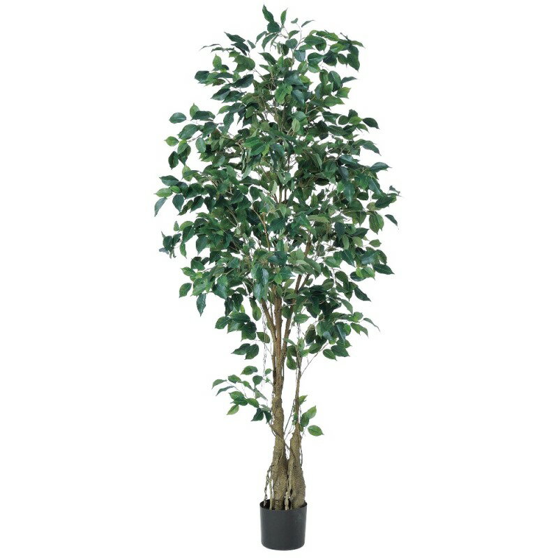 人工観葉植物 ファイカスツリー （ポット付き） グリーン 高さ190cm （P285-a50940) （代引き不可） インテリアグリーン フェイクグリーン