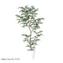 人工観葉植物 トネリコ FST 180cm 高さ180cm (P208-dt91888) (代引き不可) インテリアグリーン フェイクグリーン