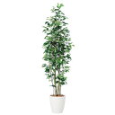 人工観葉植物 ベンジャミンスリム FST 180cm 高さ180cm (P209-dt98647) (代引き不可) インテリアグリーン フェイクグリーン