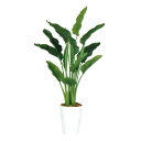 人工観葉植物 ストレリチア・オーガスタ MIX 170cm 高さ170cm (P209-dt99174) (代引き不可) インテリアグリーン フェイクグリーン