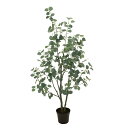 人工観葉植物 ポポラス ポット5F 高さ150cm (P200-fg1577) (代引き不可) インテリアグリーン フェイクグリーン