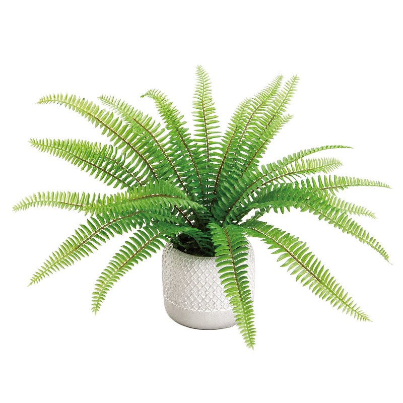 人工観葉植物 タマシダ ポットS 高さ25cm （P190-fz241) （代引き不可） インテリアグリーン フェイクグリーン