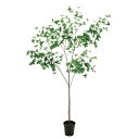 人工観葉植物 ドウダンツツジ ポット 光触媒加工 高さ180cm (P194-zv300670) (代引き不可) インテリアグリーン フェイクグリーン