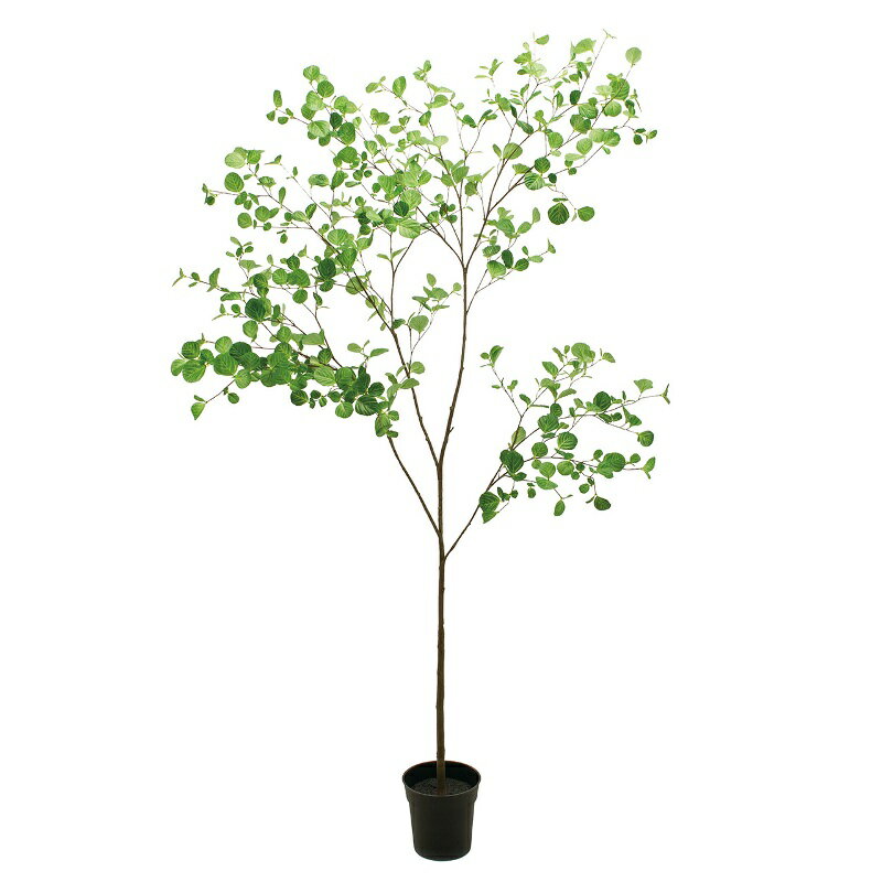 人工観葉植物 ヘーゼルナッツリーフ ポット 光触媒加工 高さ180cm （P194-zv300671) （代引き不可） インテリアグリーン フェイクグリーン