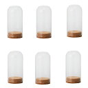 ガラスベース Glass Gift Glass Dome with Cork ガラスドーム ウィズ コルク natural (6個入り) [777-430-00...