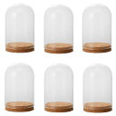 ガラスベース Glass Gift Glass Dome with Cork ガラスドーム ウィズ コルク natural (6個入り) [777-431-00...