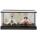 雛人形 親王ケース入り 小出松寿 京極 京十二番 手刺繍B hn275 hs297 幅59cm 悠華ケース 2人 (24hina-ya-to0313) ひな人形...