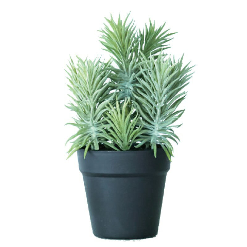 人工観葉植物 セネシオ ポット 30（1個入り）991121 多肉植物 卓上サイズ インテリア フェイクグリーン..