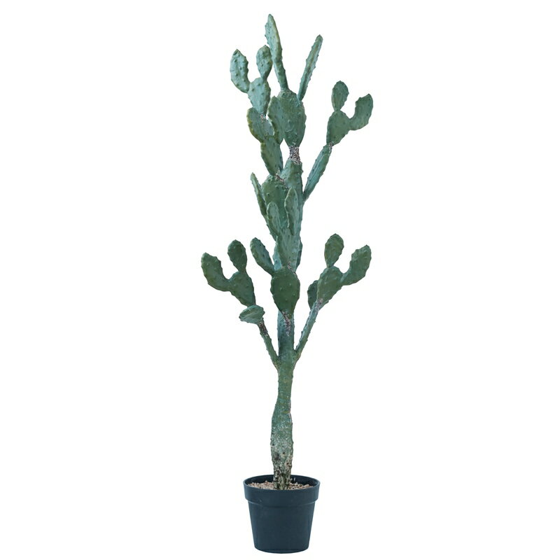 人工観葉植物 ウチワサボテン ポット 130（1個入り）991570 サボテン リビング、オフィスサイズ インテ..