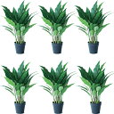 人工観葉植物 スパティフィラム ポット 60(6個入り)992580 観葉植物 床置きの小さいサイズ インテリア フェイクグリーン 造花POT INDOOR (...