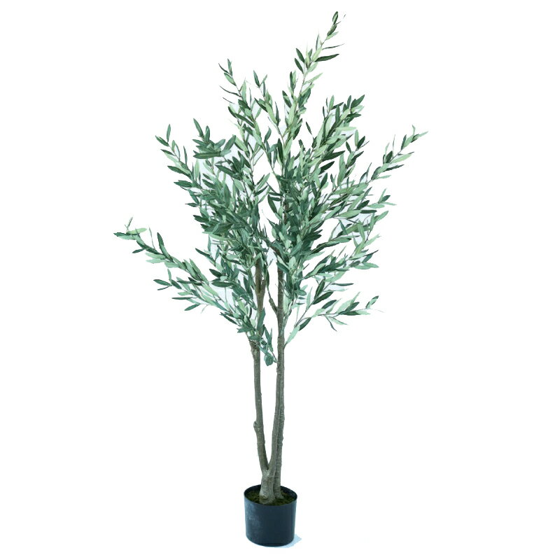 ͹տʪ ꡼ ݥå 1801992651 ڥݥå ء֥ ƥꥢ ե꡼ ¤ GARDEN PLANT p11
