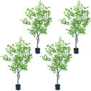 人工観葉植物 斑入りベンジャミン ポット 150(4個入り)992660 庭木ポット 玄関、広い空間サイズ インテリア フェイクグリーン 造花 GARDEN P...