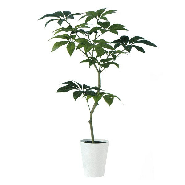 乐天商城 - 人工観葉植物 ツピダンサス FST 150cm 高さ150cm （P232) （dt91603) （代引き不可） インテリアグリーン フェイクグリーン